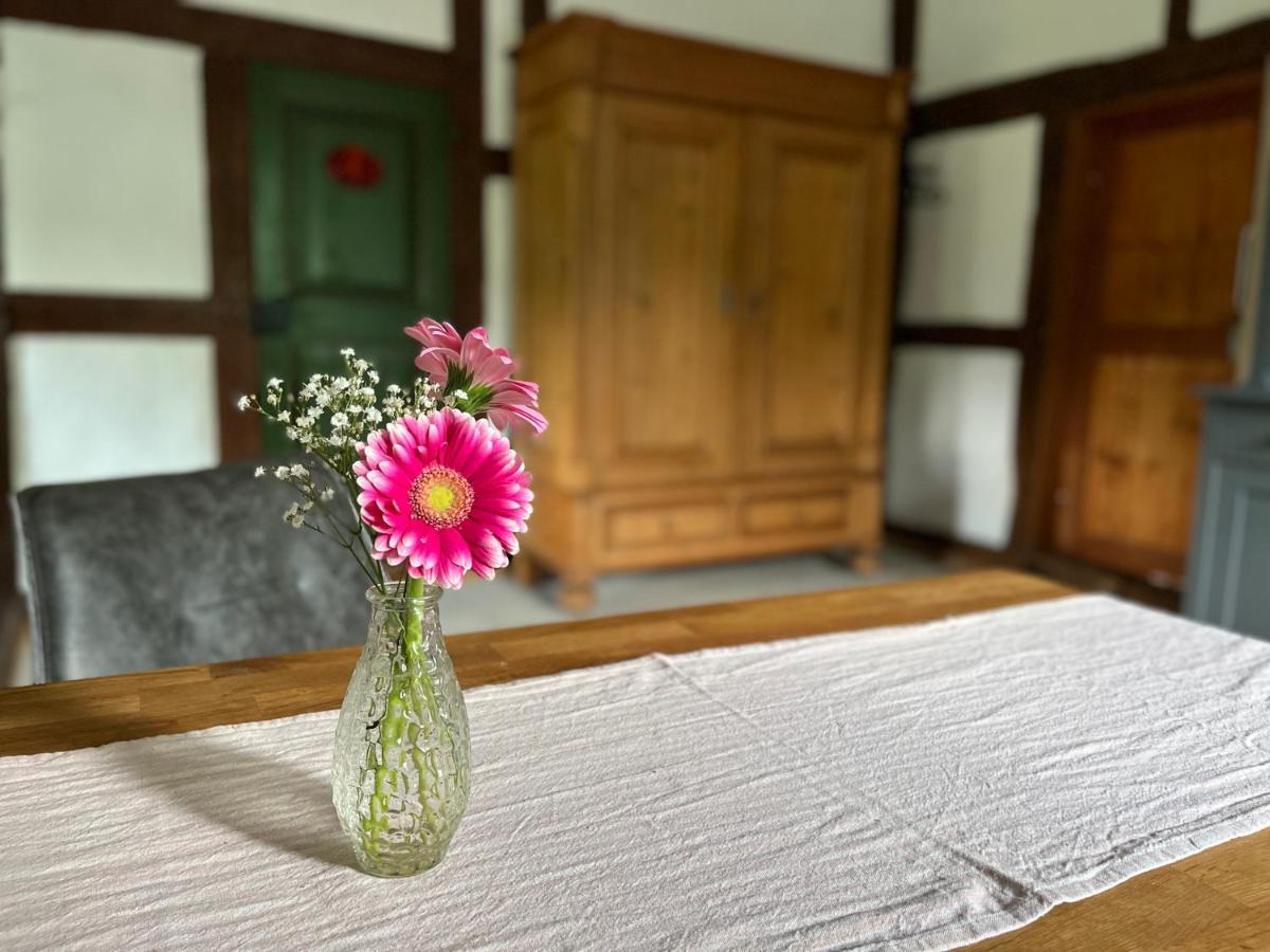 Reetscheune Kruezen Kruzen 外观 照片